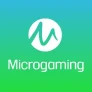 Microgaming